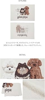 51+pLwc6UJL._AC_UF350,